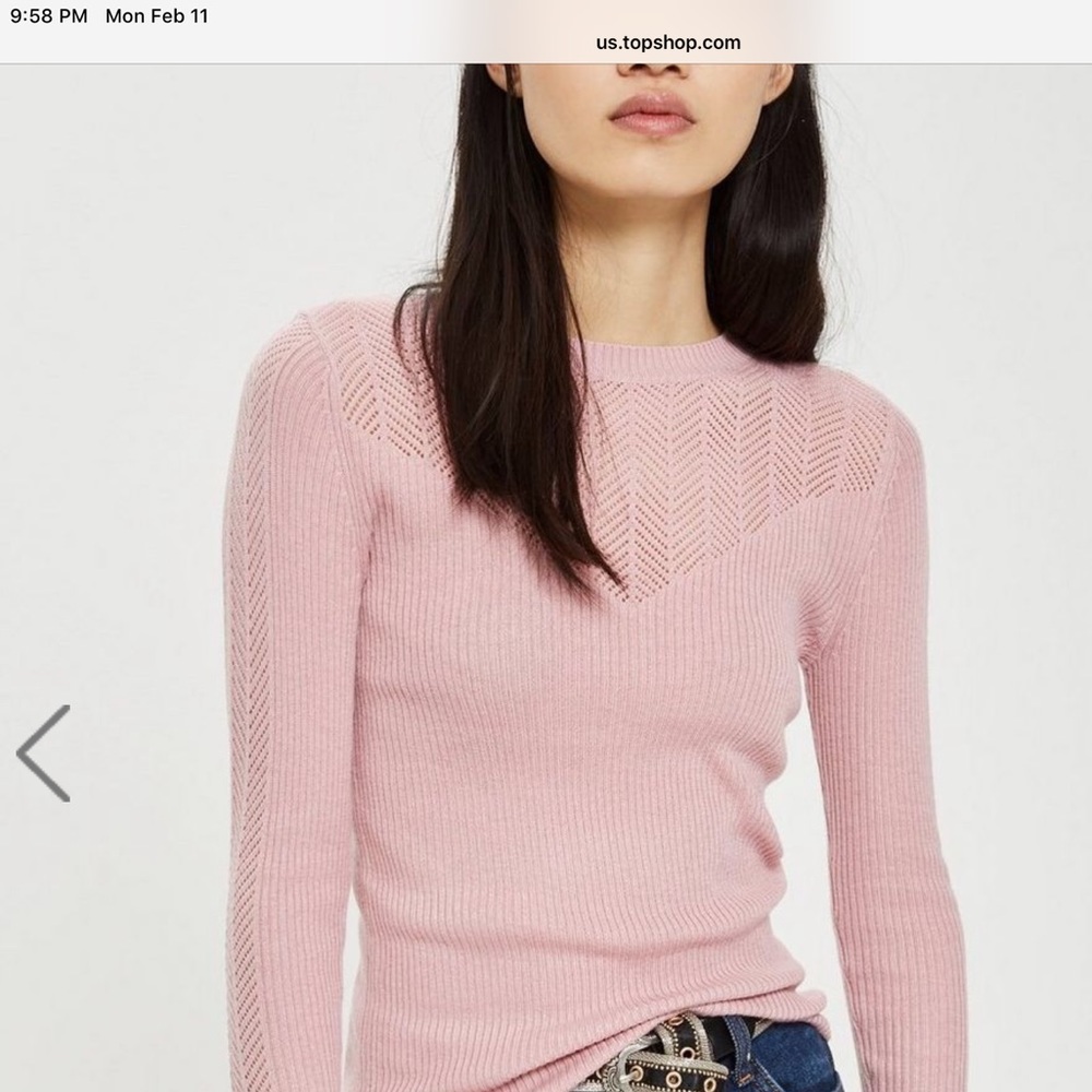 ISO Topshop Petite Pointelle Sweater in size 2/4/6